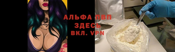 дурь Алексин