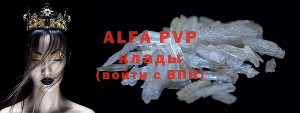 стаф Алзамай
