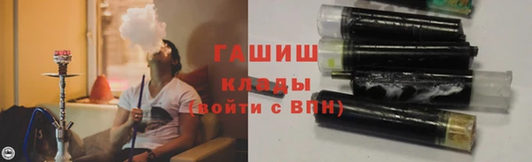стаф Алзамай