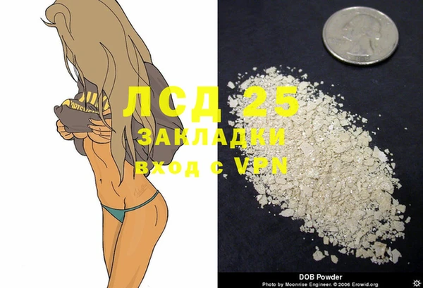 стаф Алзамай