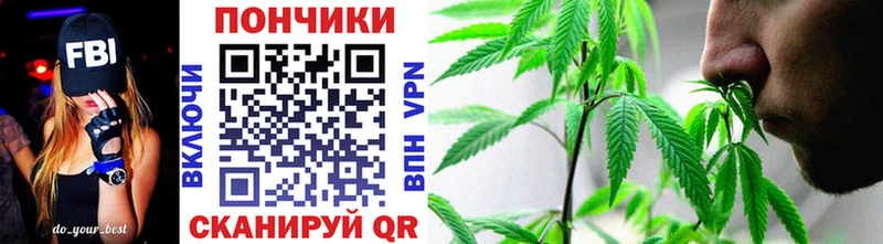 Конопля сатива  купить наркотики цена  Кыштым 